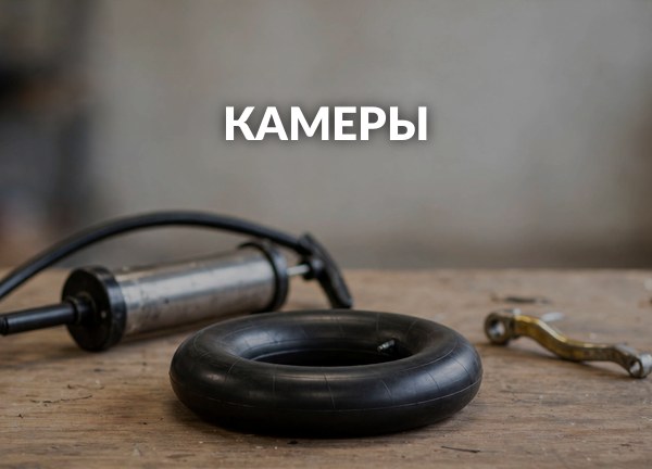 Камеры